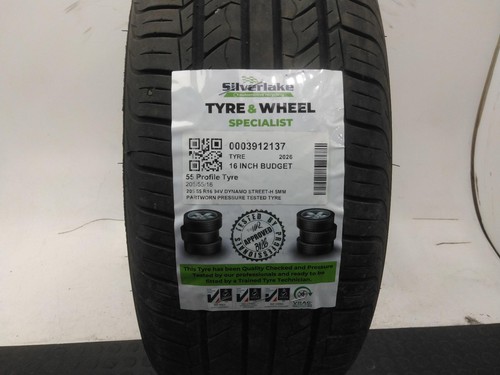 205 r16 94v dynamo - 94v, street-h