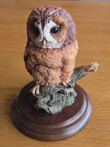 Country artists birds - birds,, tawny