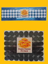 Self-Healing Injection Ports & Lid Filters – Autoclavable 3M Adhesive Bundle