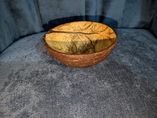 Coconut Shell Polished for