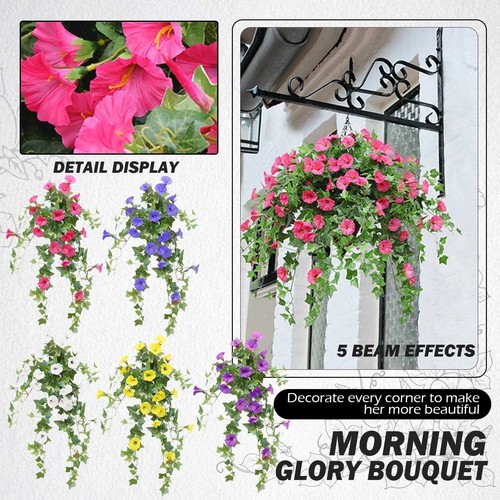 Artificial morning glory - morning,