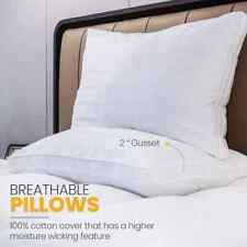 Raymat Hotel Quality Luxury