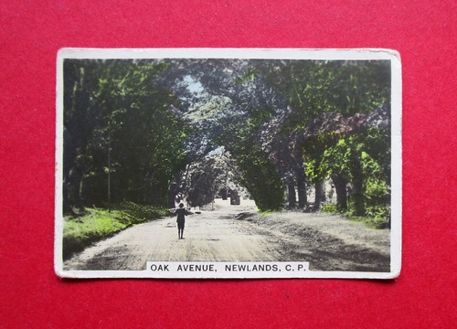 Cavanders real photo 1925 - cavanders,