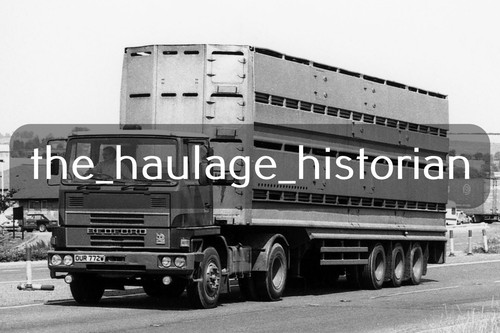 Thh truck photos bedford - truck,
