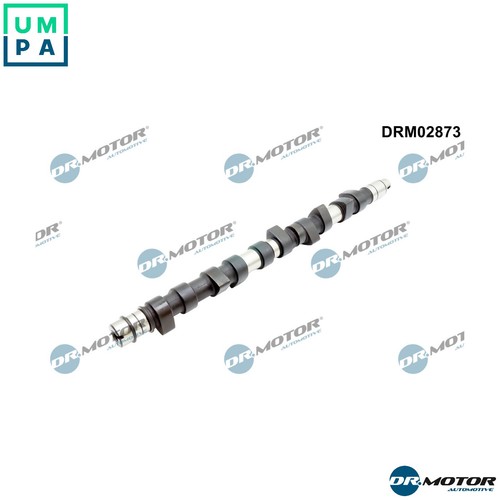 Camshaft drm02873 for - drm02873, vw