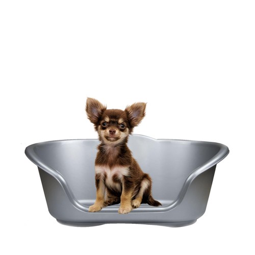 Dog bed basket pet cat - bed, kitten