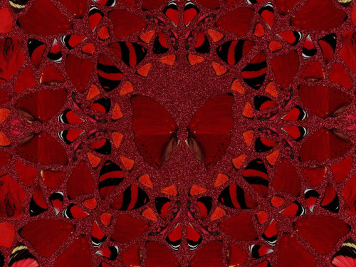 Damien hirst nūr jahān - damien,