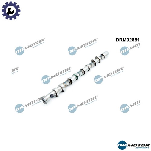 Camshaft drm02881 for skoda - camshaft,