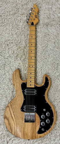1981 peavey electric - peavey, t-60