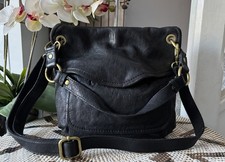 Beautiful Fossil Long Live