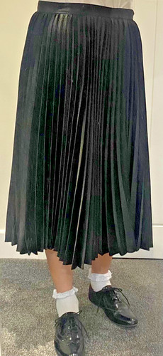 Coast black maxi pleated - pleated, skirt