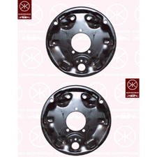 Brake Backing Plate Dust