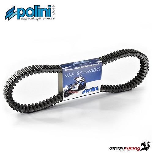 Variator belt polini - belt,