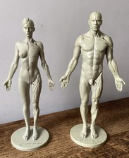 NICE PAIR OF MALE & FEMALE 3DTOTAL.COM HALF SKIN / HALF MUSCLE ARTISTS FIGURINES