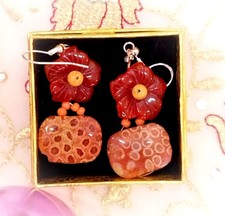 Natural fossil coral and