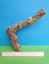 CORK BARK BRANCH 33CM LEOPARD