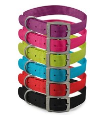 Ancol Viva Nylon Puppy Dog Pet