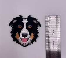 Border Collie Dog Puppy Iron