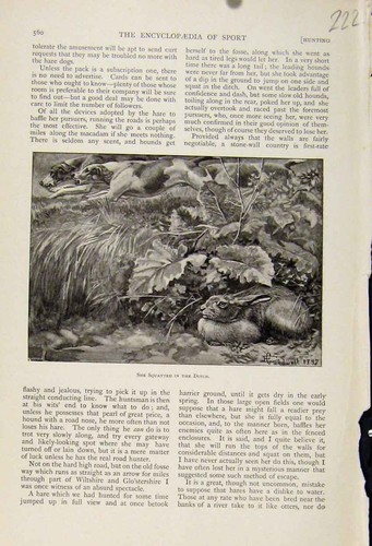Original old antique print - old,