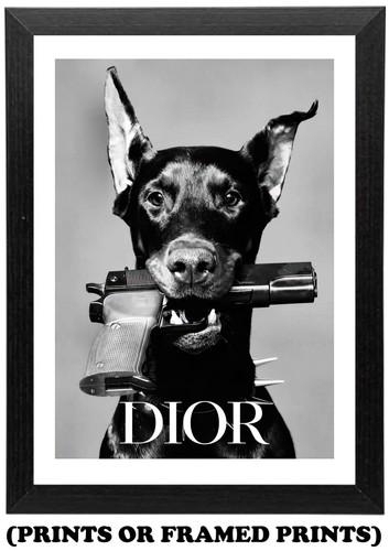 Dog gun fashion a5 - -, a3