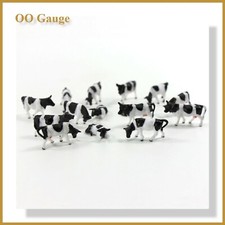 Quality Black & White Cows for