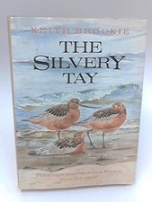 The silvery tay paintings - silvery, and