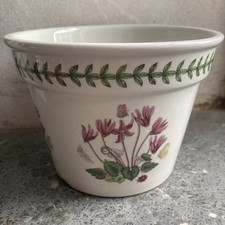 Vintage Portmeirion Botanic Garden Ceramic Plant Pot Planter 5” With Border