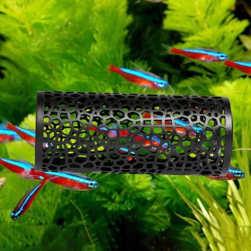 Betta tunnel tank - tunnel,