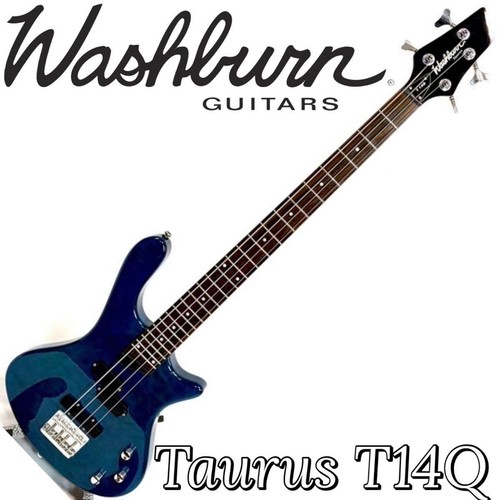 Washburn taurus t14q - washburn,