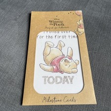 Disneys Winnie The Pooh , Baby