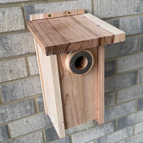 Wooden bird house - bird,