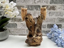 Tawny Owl Couple Pair on