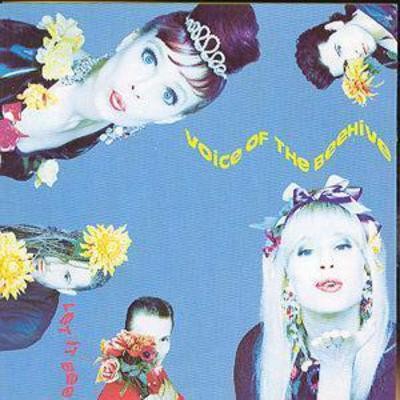 Voice the beehive - let, it