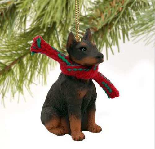 Doberman pinscher - doberman, (brown