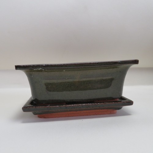 Glazed ceramic bonsai - bonsai, pot