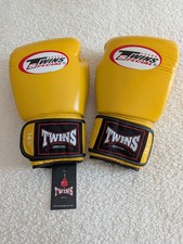 Twins Special Muay Thai Boxing