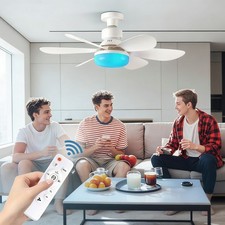 Socket Ceiling Fan with Light