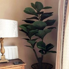 Artificial Plant Ficus Fig Tree Plant Black Plastic Pot 120cm Fiddle Fig 4ft