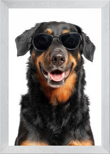 Cool Beauceron Dog Wearing