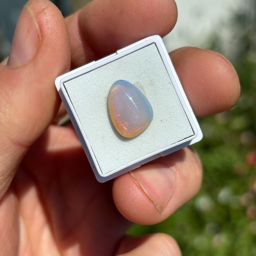 Allens rise opal semi - rise,