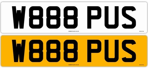 W888 pus number plate - pus,