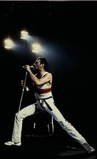 Queen Freddie Mercury