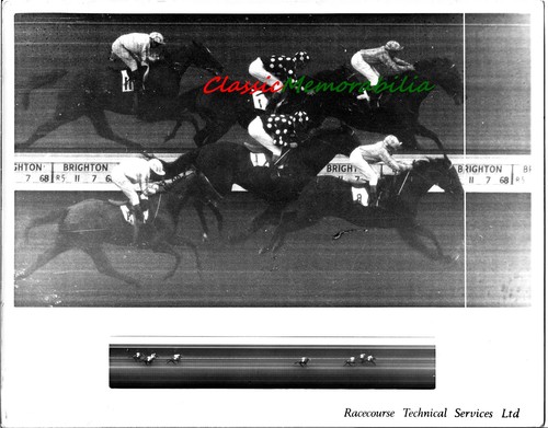 Horse racing photo - horse,