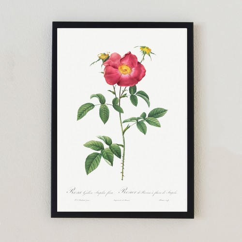 Vintage botanical flower - vintage,