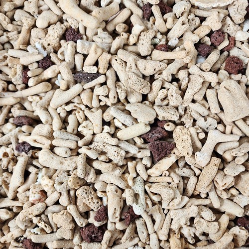 Large lbs lot - large, sea