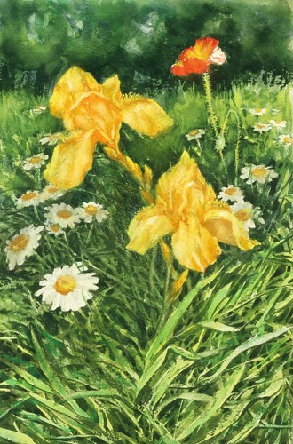 Original watercolor painting - watercolor,
