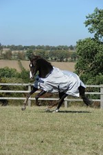 Bucas New Sun Shower Summer