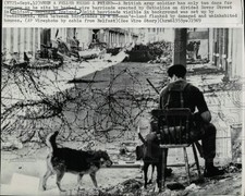 1969 Press Photo British soldier and dogs guard barbed wire barricade in Belfast