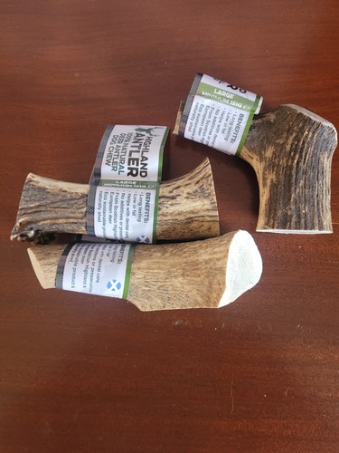 Large highland antler 100 - antler, 100%
