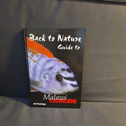 Malawi cichlids back - cichlids,